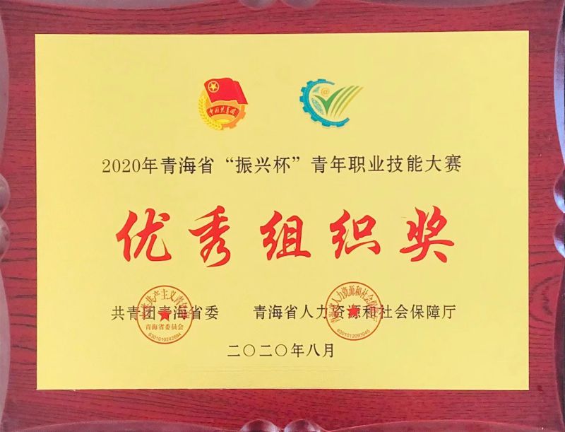 2020年8月青海省“振興杯”青年職業技能大賽優(yōu)秀組織獎